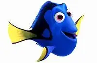 dori