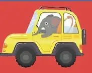 Animals in Cars