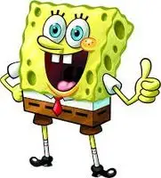 sponge